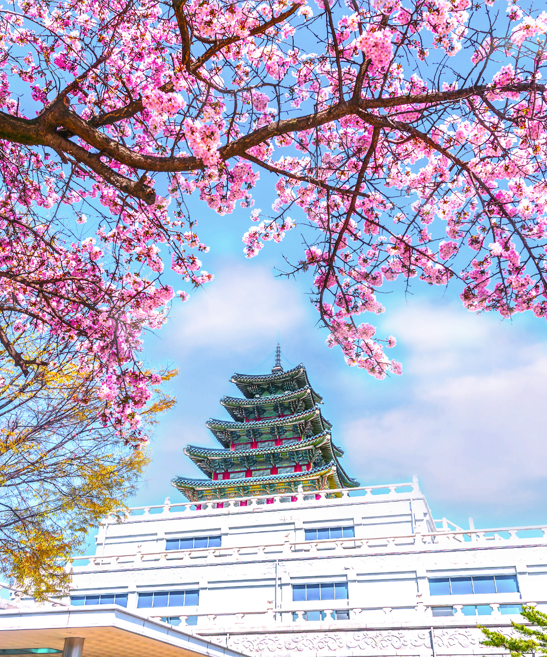 SimPM – Travel eSIM for 200+ Countries 27 South Korea