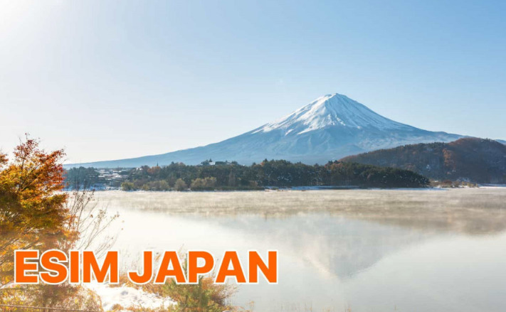 Popular types of Japan eSIMs today