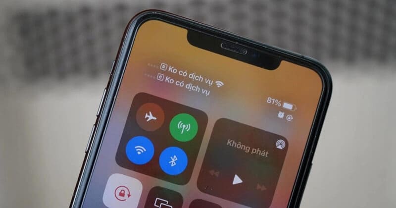 eSIM on iPhone No Signal: Causes and Fixes 9 iPhone shows “No Service”