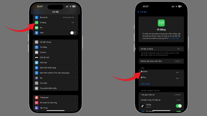 Set up the main SIM and eSIM on the iPhone XS Max for effective parallel use