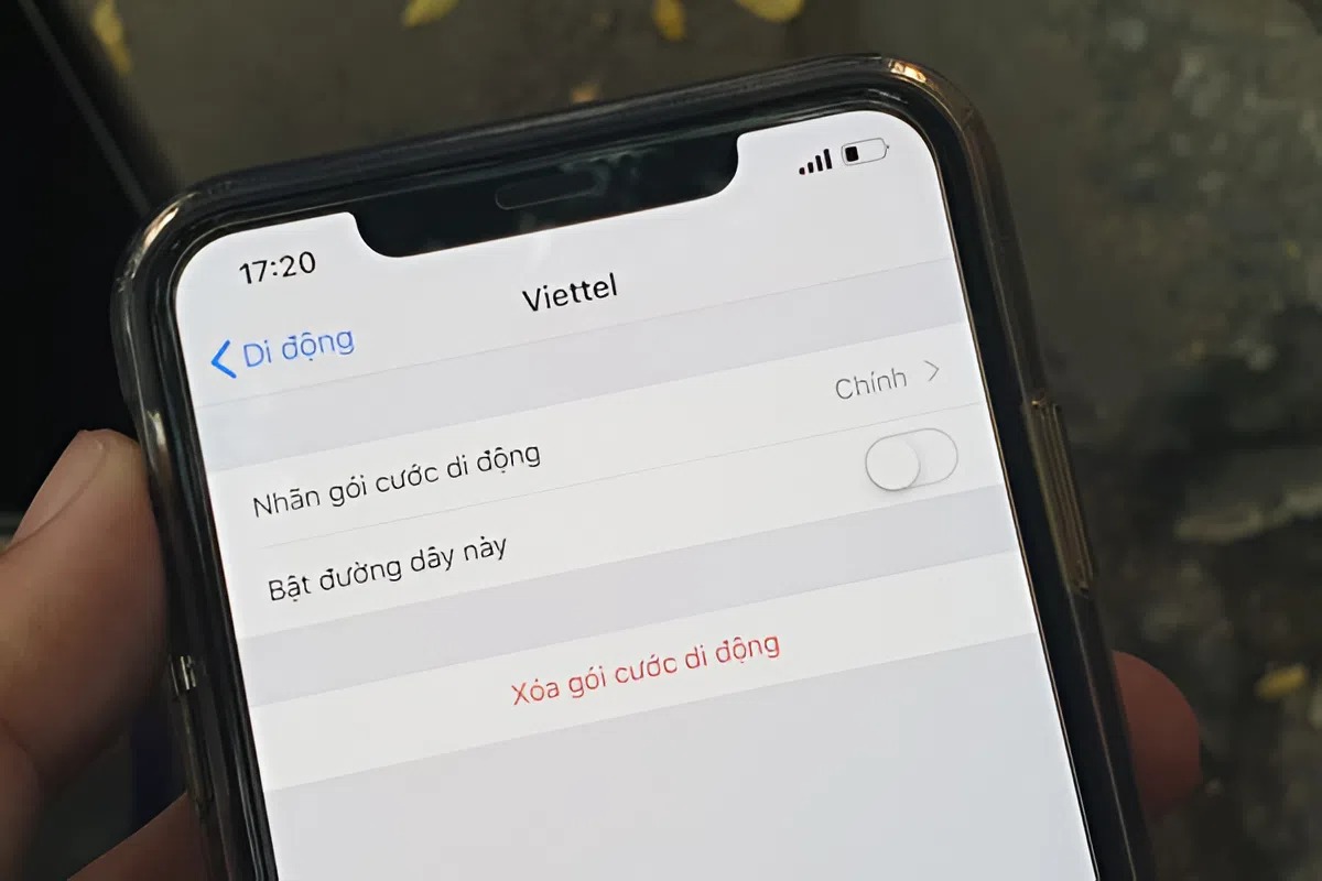 Check the eSIM storage capacity of the iPhone XS by going to Settings > Cellular