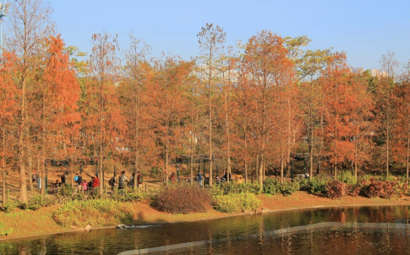 Hong Kong Self-Guided Travel Tips: What to Prepare, Where to Go? 20 View at Tai Tong Park
