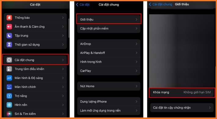 Can International iPhones Use eSIM? How to Check in Just 2 Minutes 13 Check whether the iPhone is carrier locked