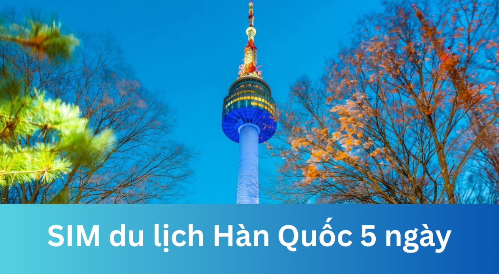 5-day South Korea travel SIM 