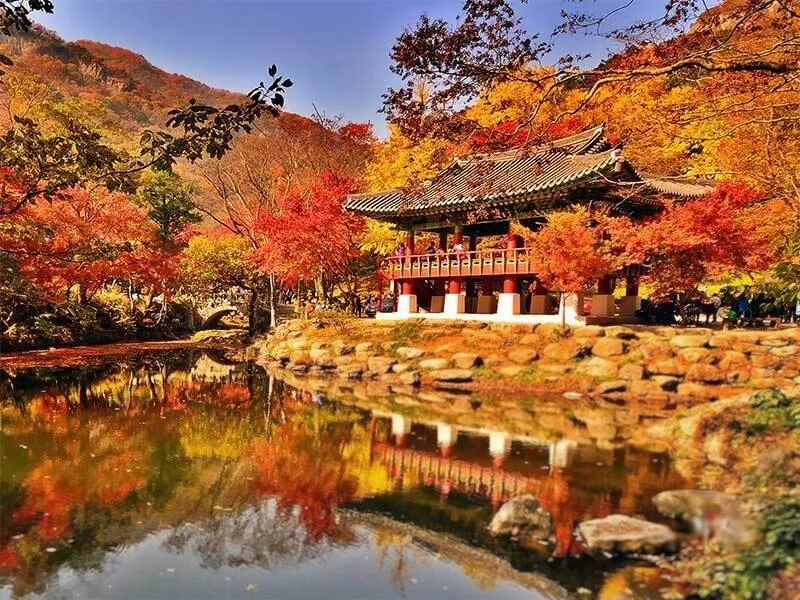 When Is the Best Time to Visit Taiwan? Ideal Times by Month 10 Travel to Taiwan in autumn