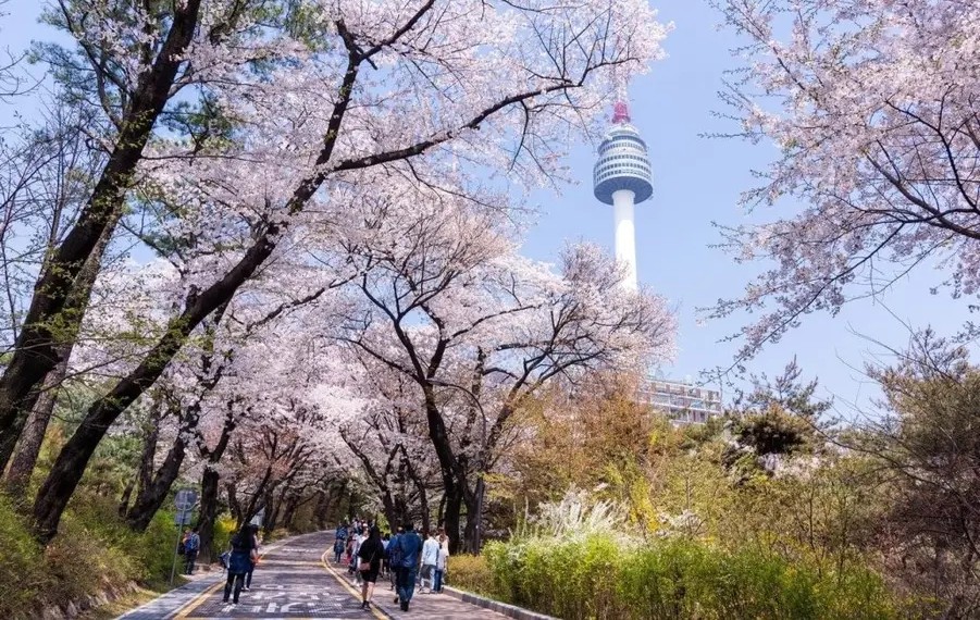 Welcoming spring at the end of month 3