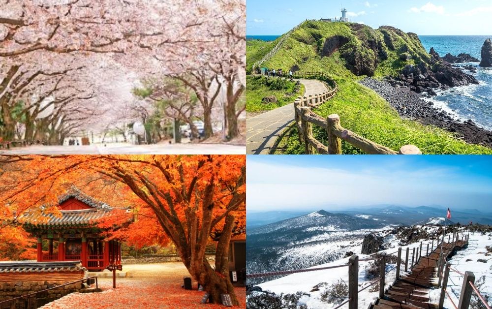 What month is best to visit South Korea?