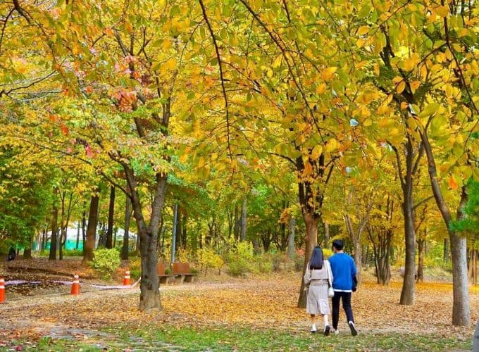 Autumn begins in South Korea