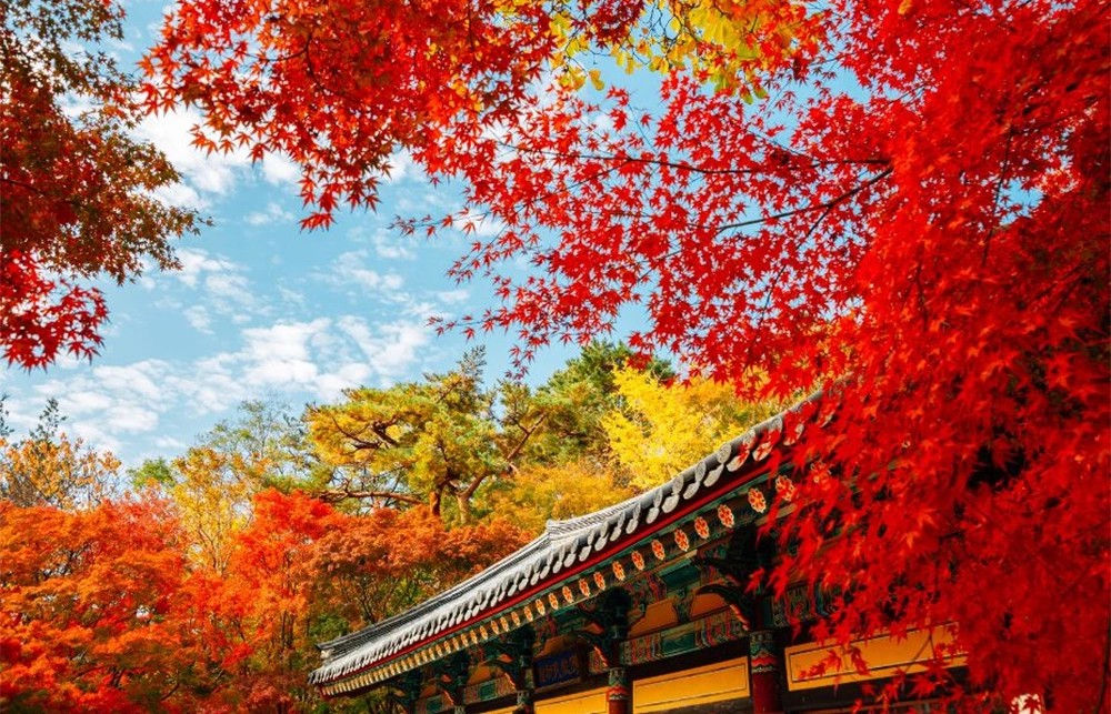 Autumn in South Korea