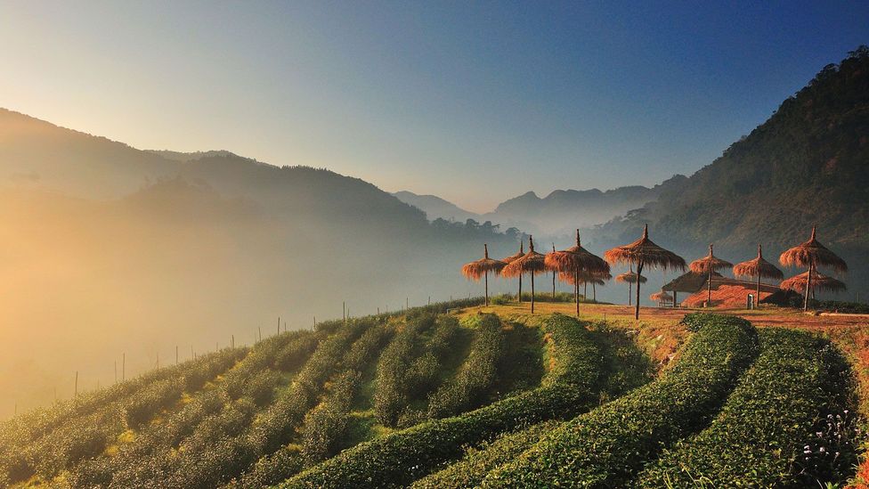 Chiang Mai hot season (month 3 - month 5)