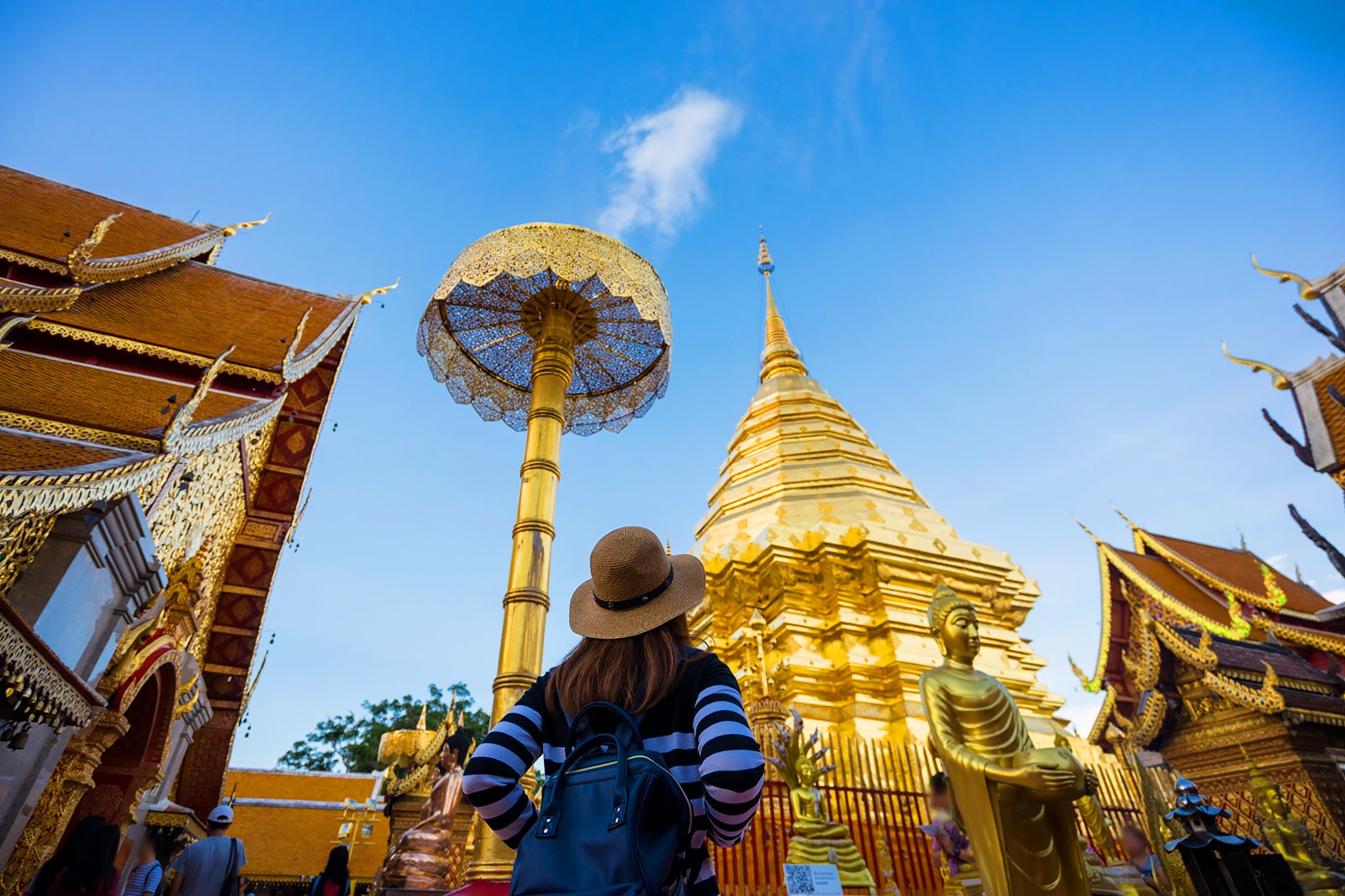 What is the best month to visit Chiang Mai?