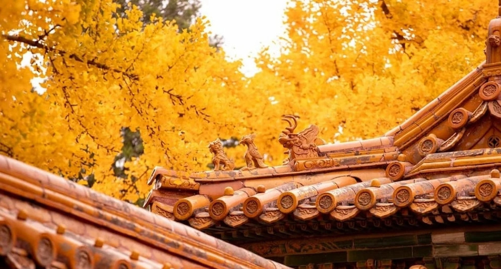 Autumn (month 9 - 11): The best time