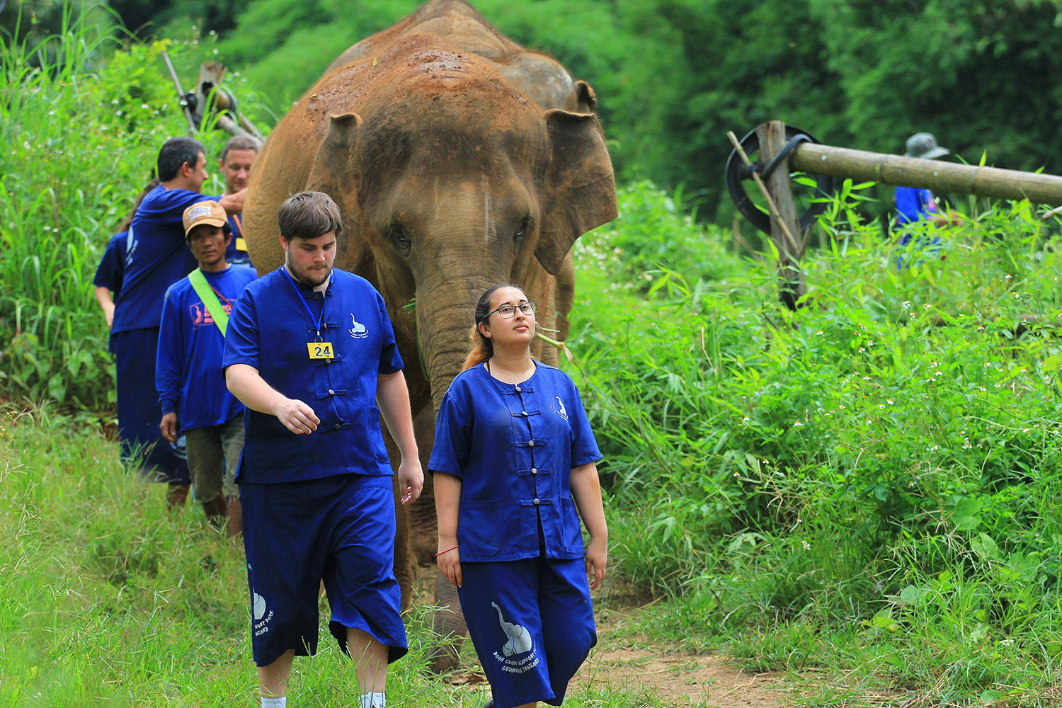 Walking with elephants at Baan Chang