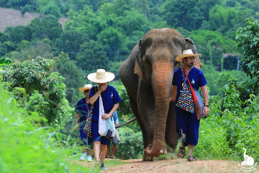 Travel tips for Baan Chang Chiang Mai