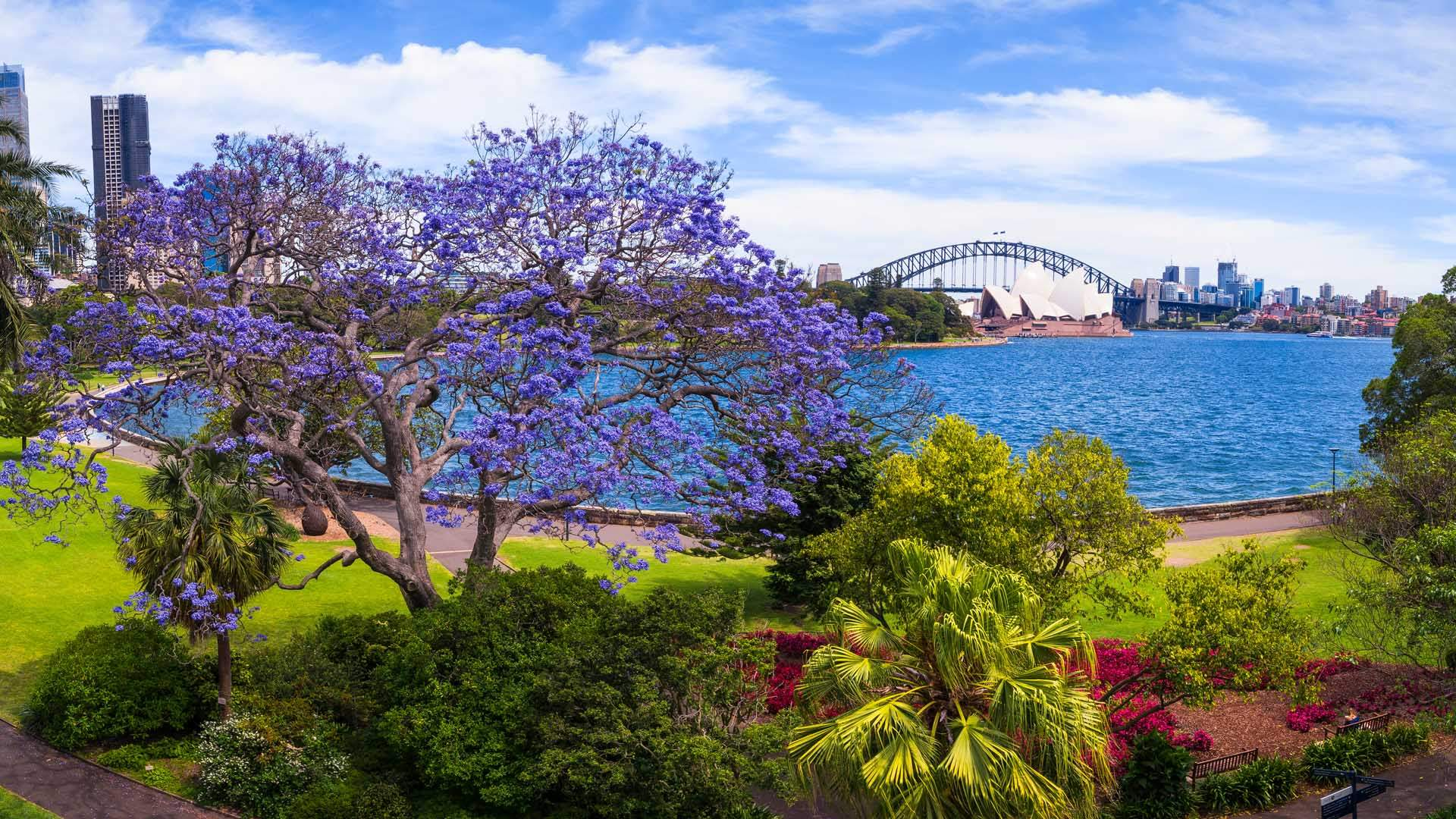 Melbourne spring