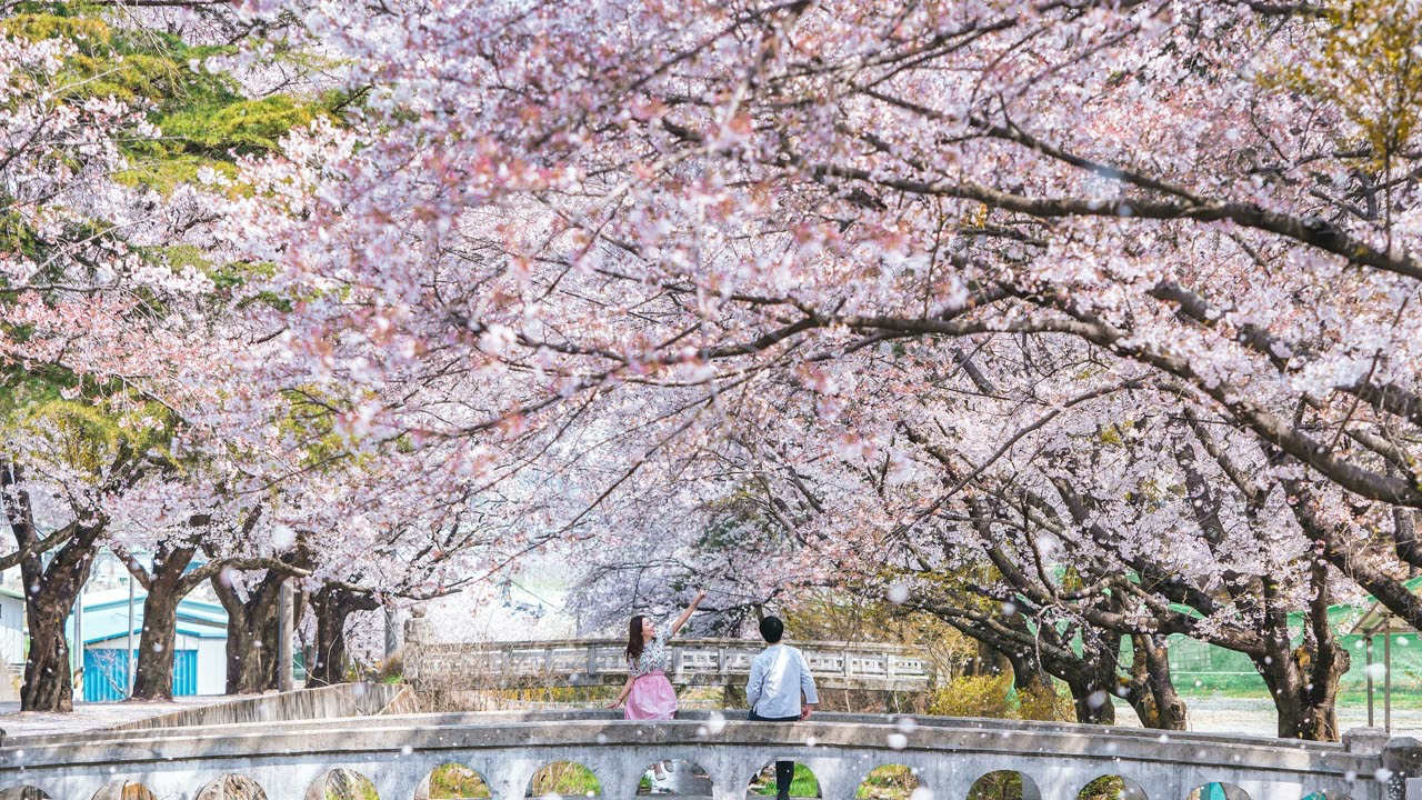 Spring: 3 to 5