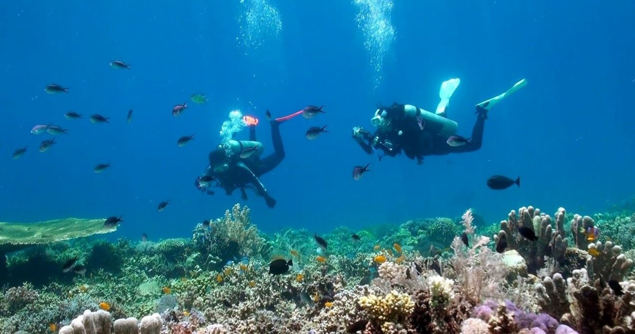 How Much Does a DIY Trip to the Philippines Cost? Full Breakdown 14 Tour and experience costs