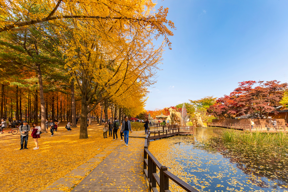 Top 20 Famous Places in Seoul 2026: Opening Hours, Ticket Prices, Subway 16 Nami Island