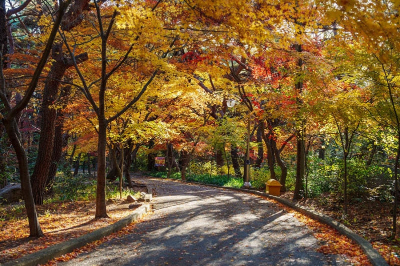 When Is the Best Time to Visit Hong Kong? Ideal Travel Timing 18 Autumn is suitable for outdoor sightseeing