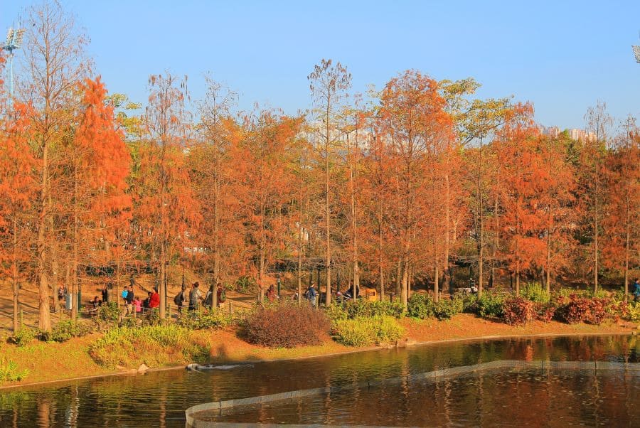When Is the Best Time to Visit Hong Kong? Ideal Travel Timing 14 Autumn in Hong Kong