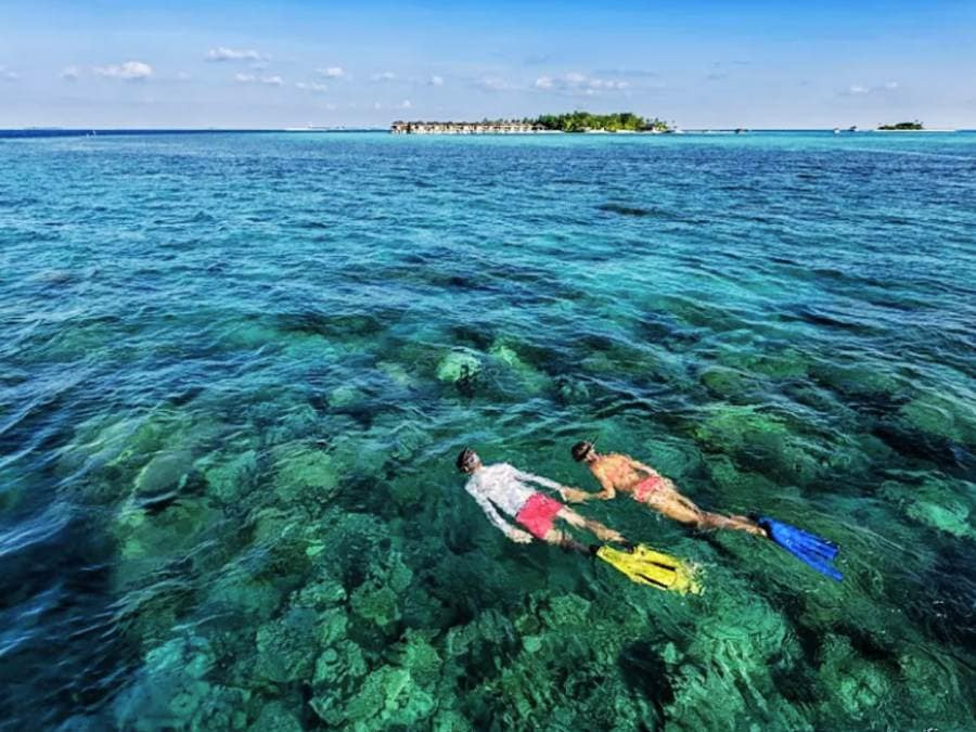 When Is the Best Time to Visit Malaysia? Choose the "Golden" Time for Your Trip 26 Which month is best for diving in Malaysia?