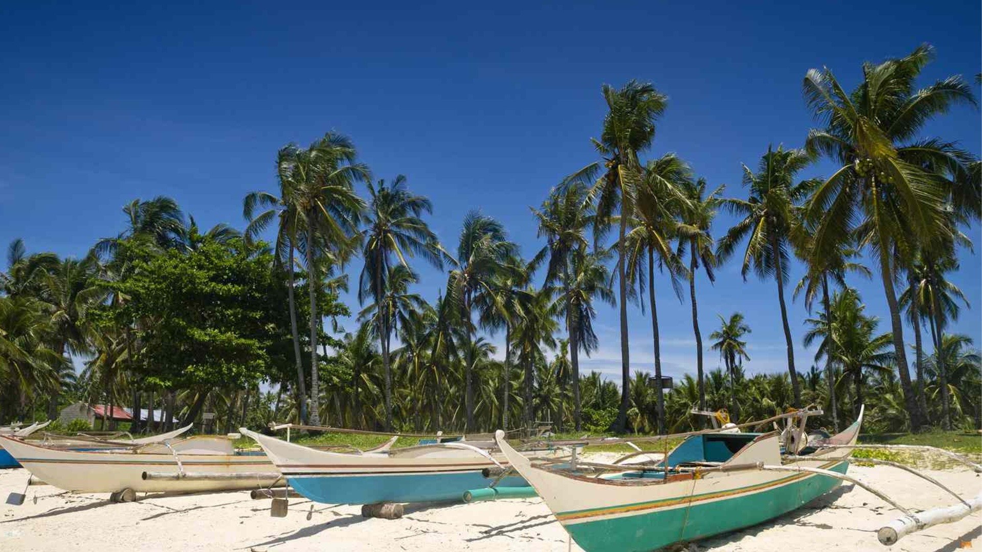 When Is the Best Time to Visit the Philippines? Ideal Travel Season 11 Overview of the climate and weather in the Philippines