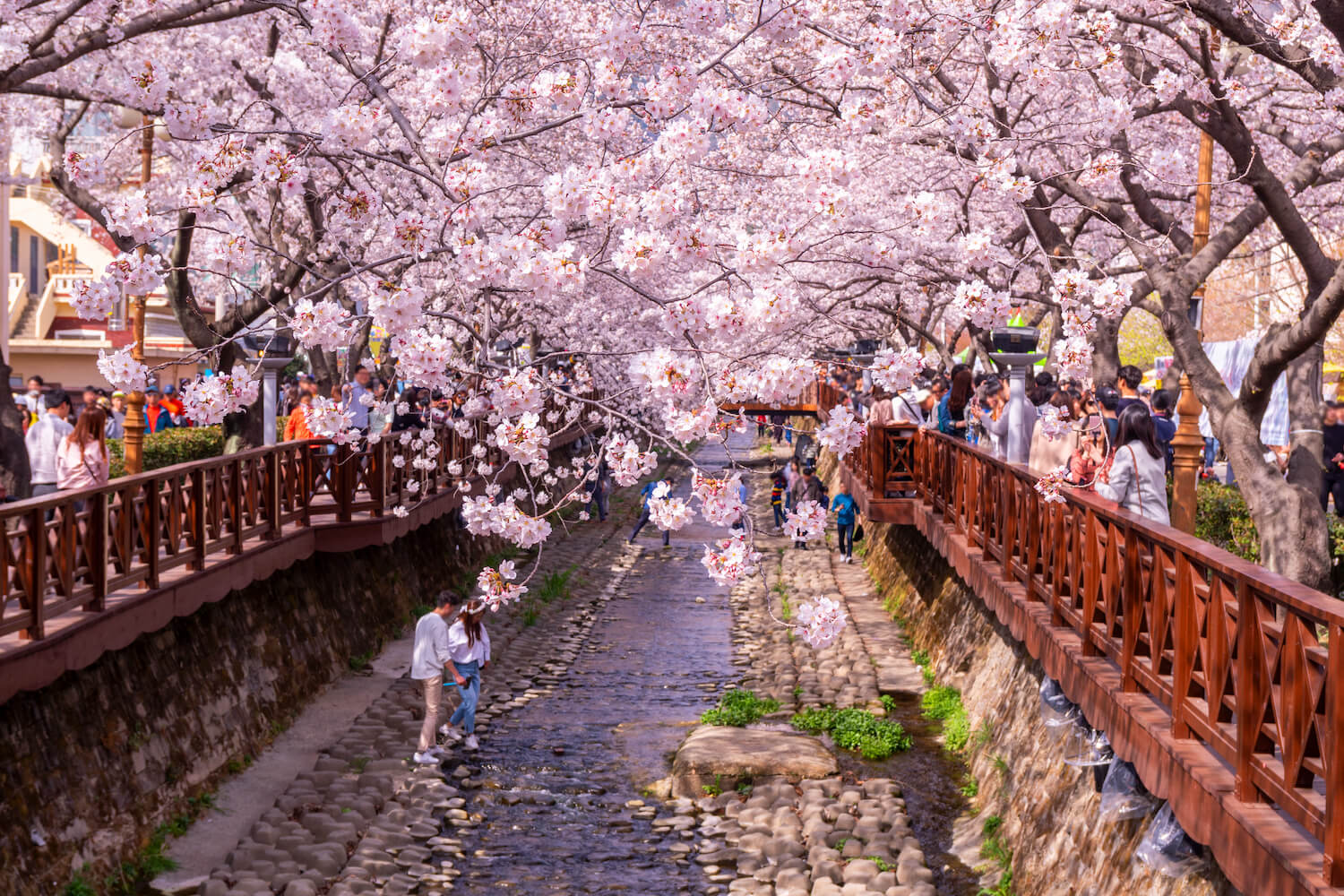 Spring, from March to May