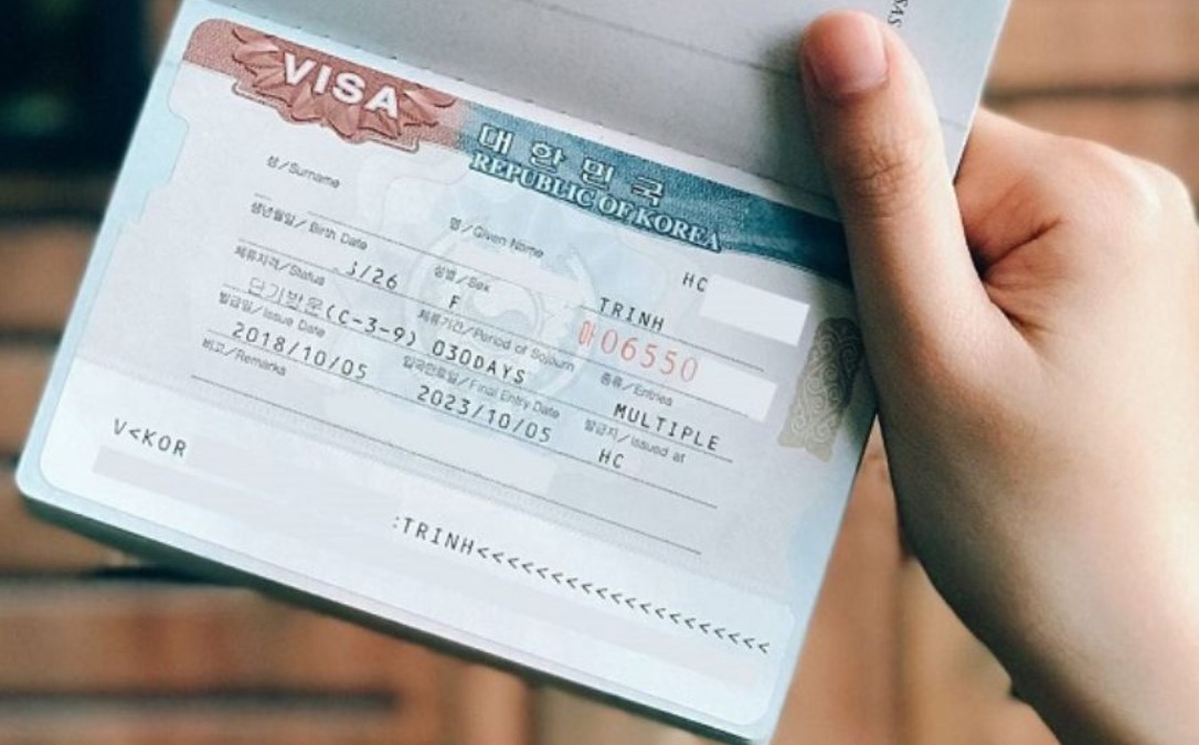 Check the C-3-9 visa